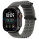 Image Умные часы Apple Watch Ultra 4 GPS + LTE 49mm MJAY4 Black Titanium Case Tran. Black Ocean Band