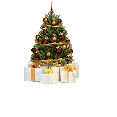 Image Brazi de Craciun