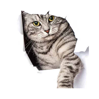 Image Товары для кошек