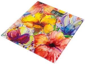 Image Scarlett SC-BS33E071