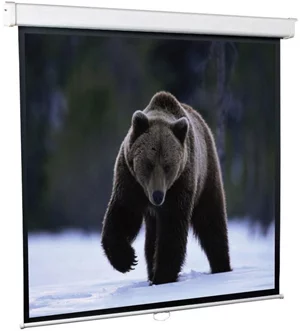 Image Проекционный экран UltraScreen Goldview 1:1 (213x213cm)
