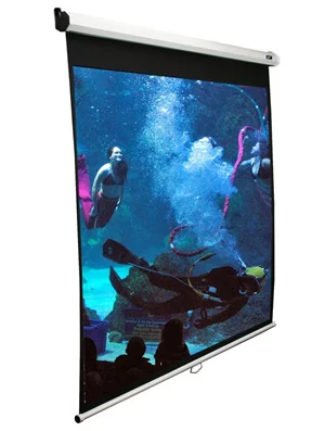 Image Проекционный экран Elite Screens M150XWV2 (White)