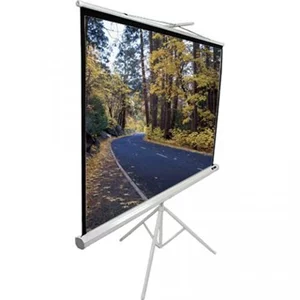 Image Проекционный экран Elite Screens T85NWS1 (White)