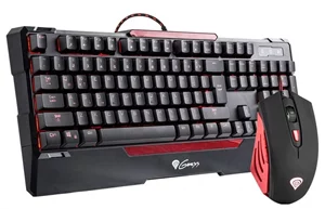 Image COMBO KEYBOARD AND MOUSE CX55