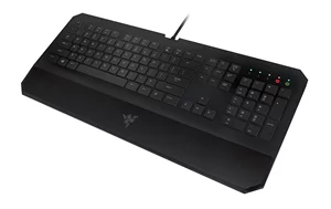 Image Razer DeathStalker Essential 2014