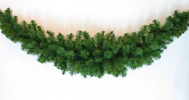 Image Gerland Smile 2.7