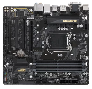 Image Gigabyte GA-B250M-D3H 1.0