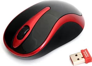 Image Wireless Mouse A4Tech G3-280N-2