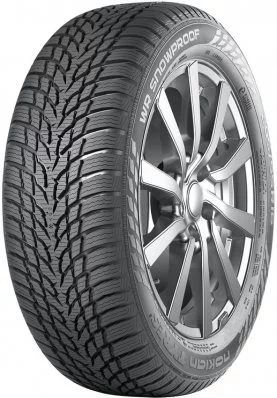 Image 255/40 R19 WR Snowproof 100V  XL