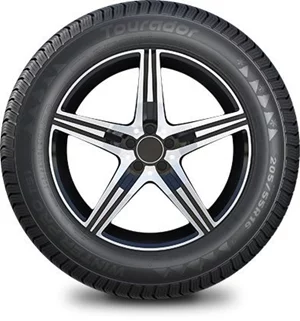 Image 195/70 R14 Winter Pro TS1 91T