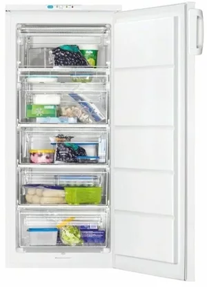 Image Zanussi ZFU 19400WA