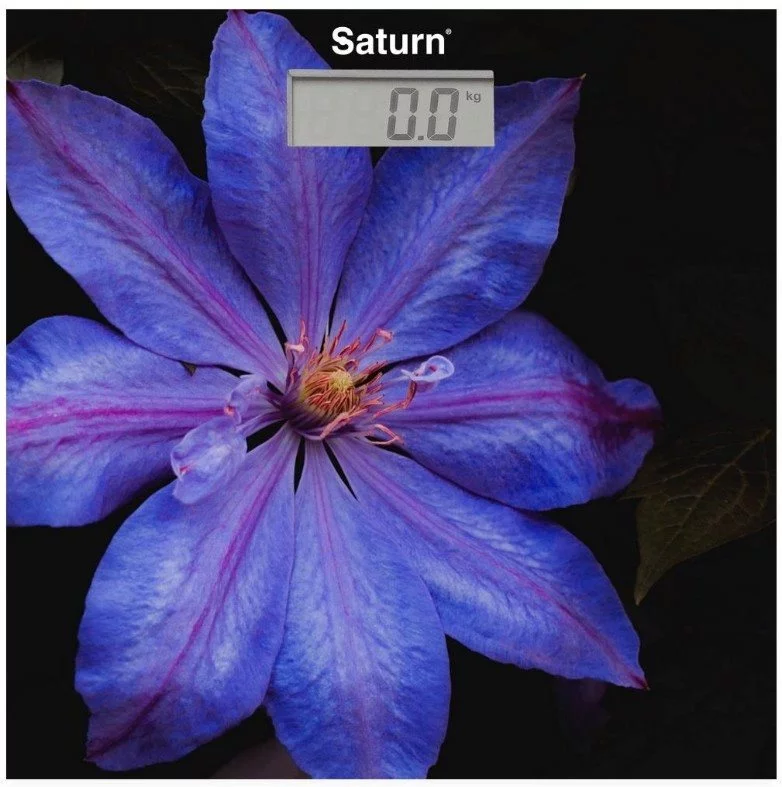 Image Cântar de podea Saturn ST PS0287