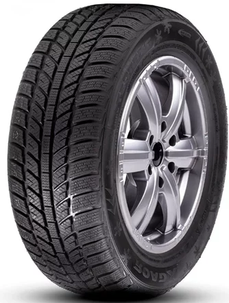 Шины RoadX RxFrost WH01 195/60 R15 88T