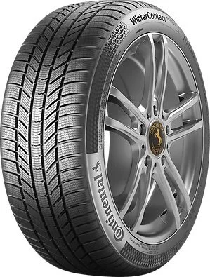 Image Шины CONTINENTAL WinterContact TS 870 P 225/55 R16 95H