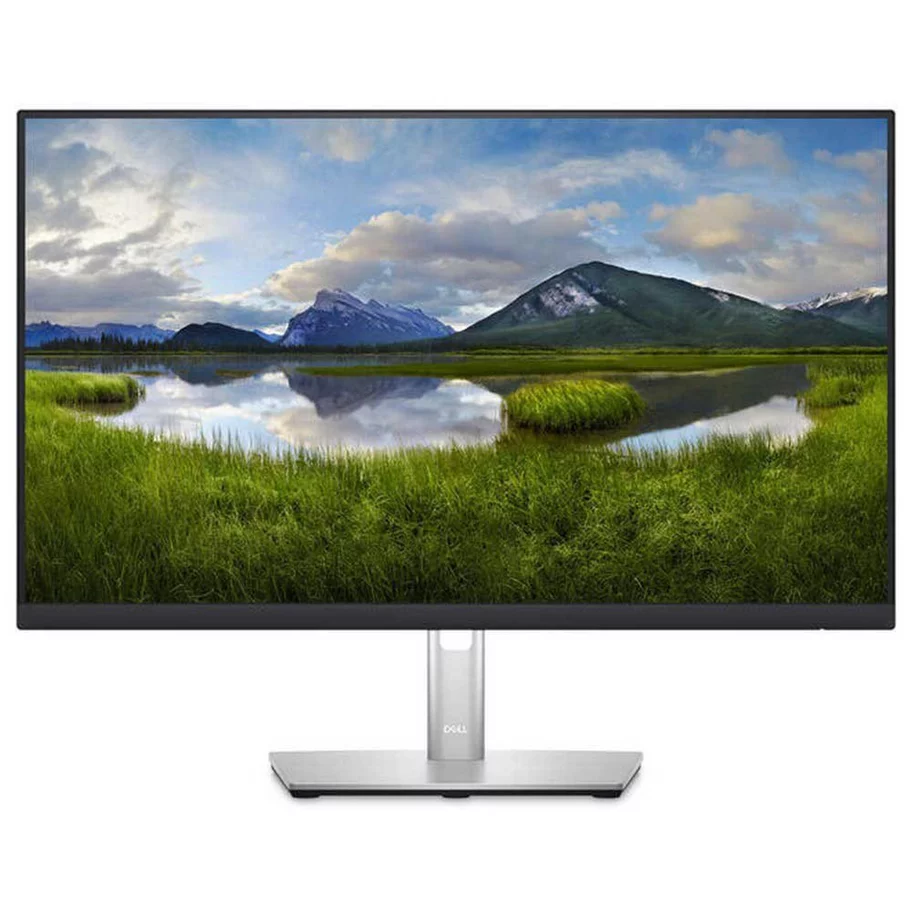 Image Monitor DELL P2423D