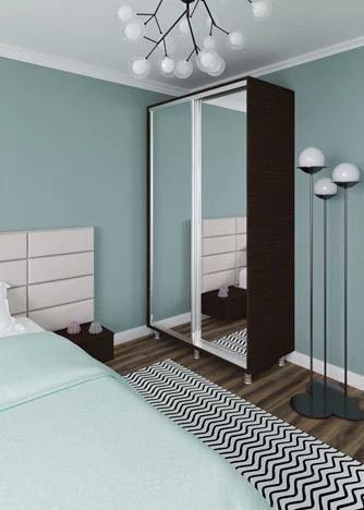 Шкаф купе PS ДХ-100 1.0 м