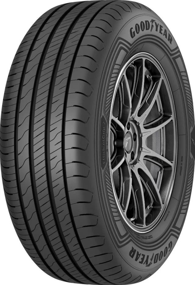 Image Шины Goodyear EfficientGrip 2 SUV 225/60 R18 100H