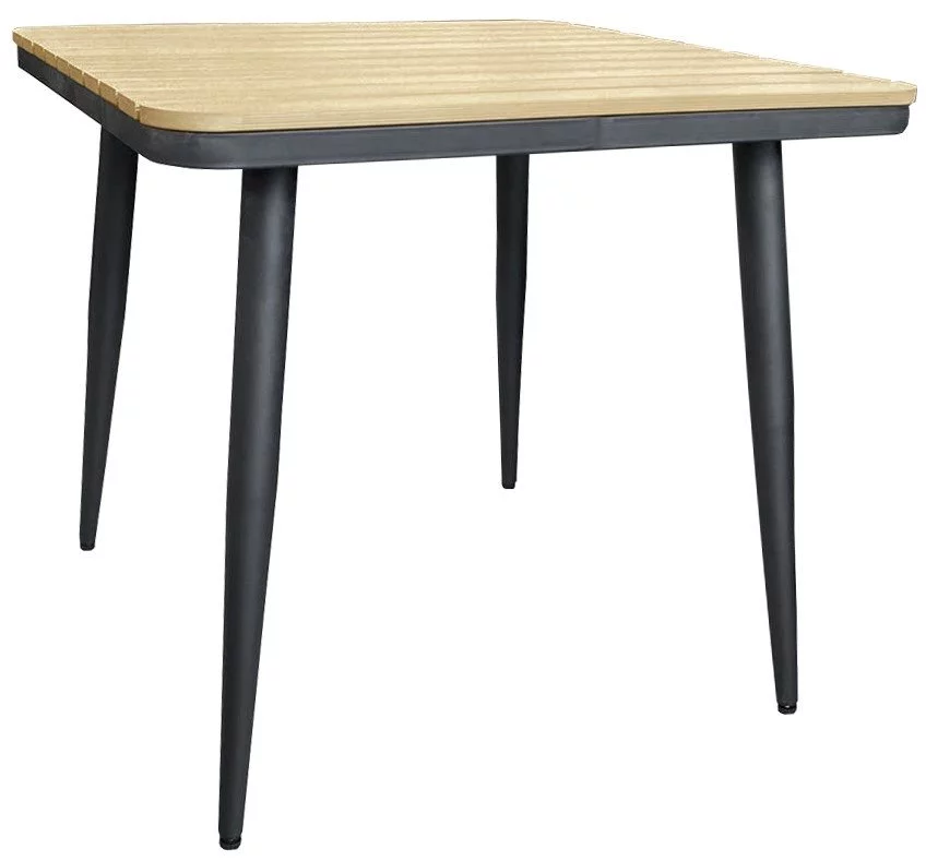 Image Masa DP Tulip 80