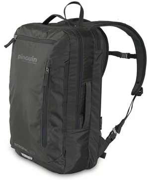 Image Rucsac Pinguin Integral 30 2020 Grey