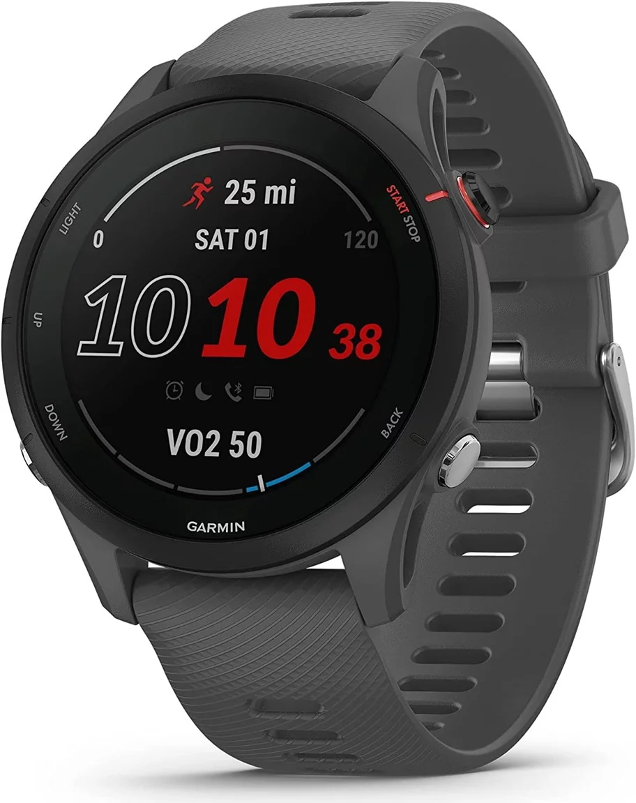 Image Ceas inteligent Garmin Forerunner 255 Slate Grey (010-02641-10)
