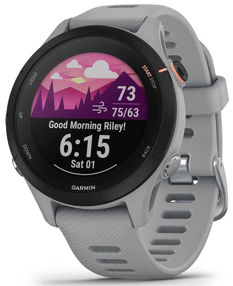 Image Умные часы Garmin Forerunner 255S Powder Grey