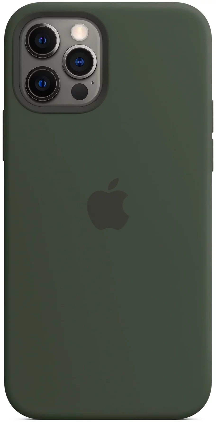Image Husă Original iPhone 12/12 Pro Silicone Case with MagSafe Cypress Green
