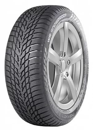 Image Шины Nokian WR Snowproof 195/55 R20 95H DOT20