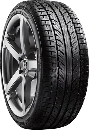 Image Шины AVON WV7 SNOW 195/55 R16 87H