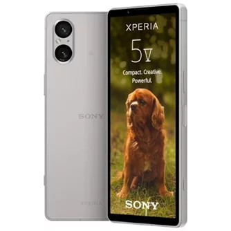 Мобильный телефон Sony Xperia 5 V 8/128GB Platinum Silver