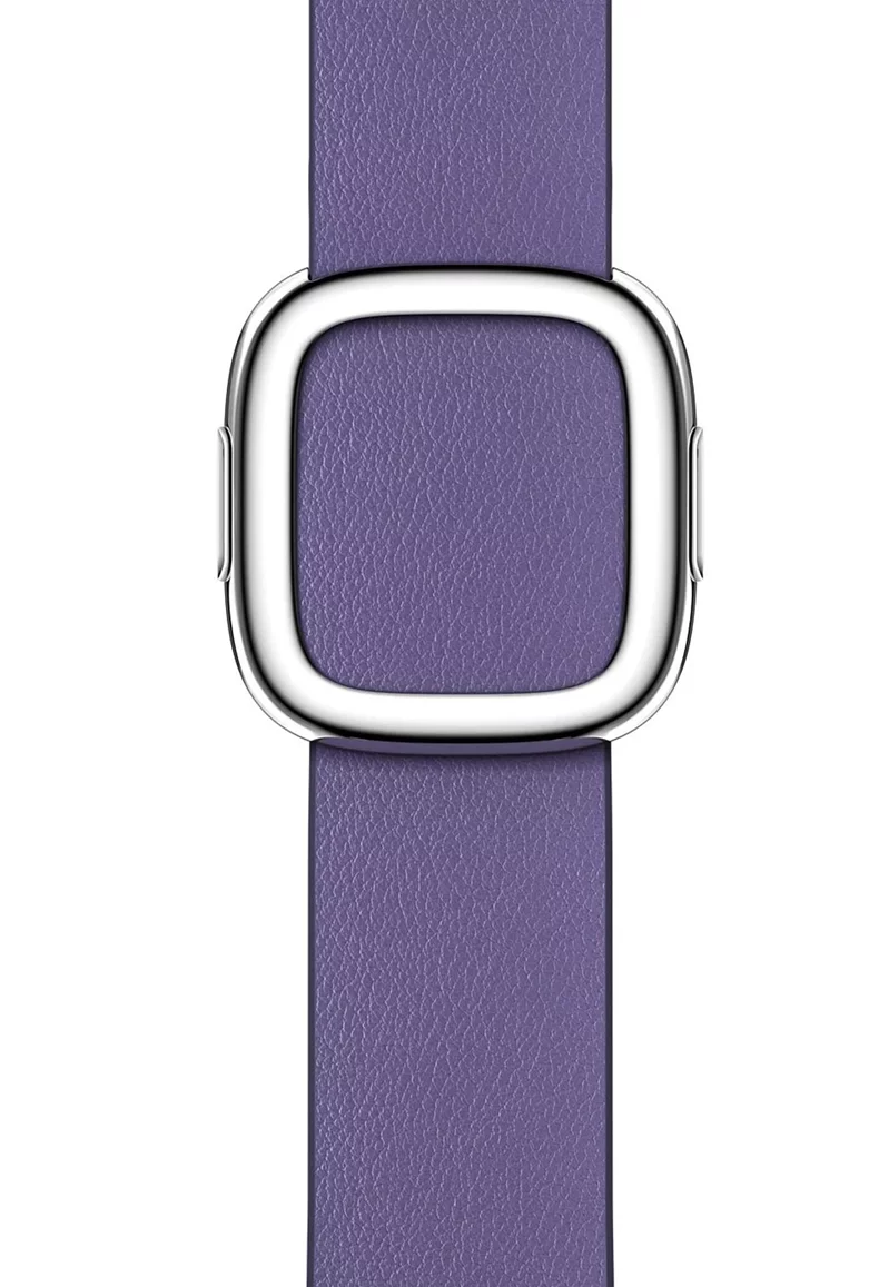 Image Ремешок Apple Watch 41mm Wisteria Modern Buckle Small