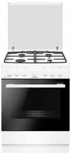 Image Газовая плита HANSA FCMW68123