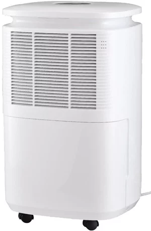 Image Осушитель воздуха Home DHM 10LR White