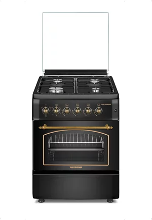 Image Aragaz ELECTROPLUS EP6000  E BL RETRO