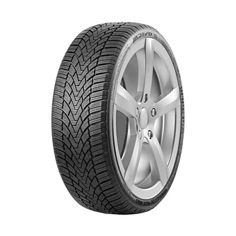 Шины Arivo Winmaster ProX ARW3 255/40 R20 101V XL