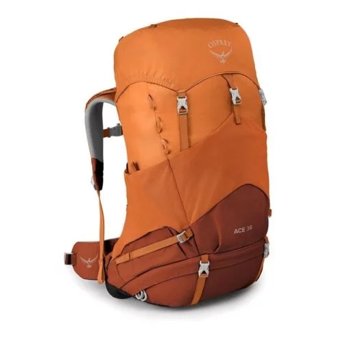 Image Походный рюкзак Osprey Ace 38 II