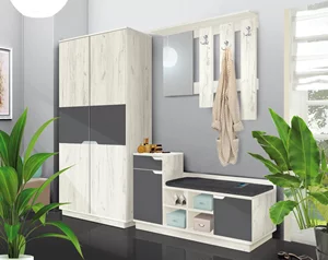 Image Прихожая Modern Визит White kraft oak/Asphalt