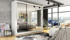 Image Шкаф купе Space Meble Aston III 250x215x58 White Matte