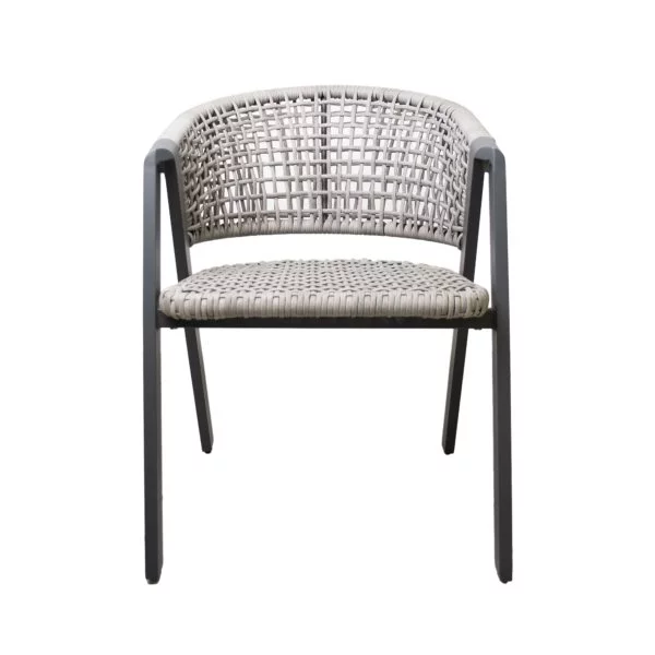 Image Scaun DP Opera Garden