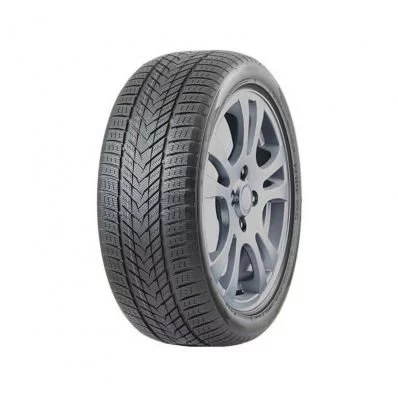 Шины Arivo Winmaster ProX ARW5 265/50 R20 111H XL