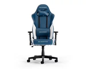 Image Игровое кресло DXRacer GLADIATOR-L-N23-LTC-BW-X1 Blue White