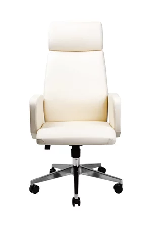 Image Офисное кресло CUSTÓ Amsterdam (100.01-0051)