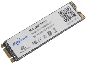 Image Memorie RAM Rayson M.2 2280 SATA 256GB SSD  Read 534 MBytes/Se