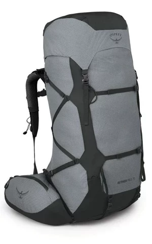 Image Рюкзак Osprey Aether Pro 75 silver lining