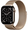 Gold Titanium / Gold