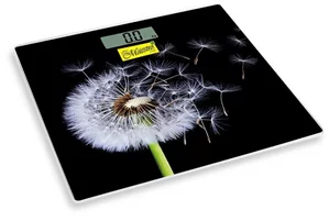 Image Cântar de podea Maestro MR-1828