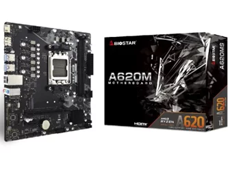Материнская плата BIOSTAR A620MS