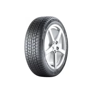 Image Шины Viking WinTech NewGen 195/65 R15 91T