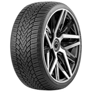 Image Шины FRONWAY ICEMASTER 255/40 R19 100H XL