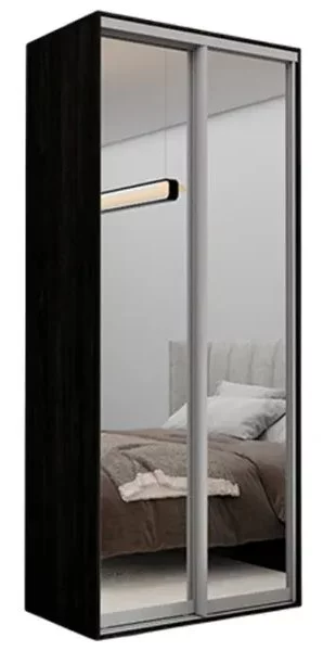 Dulap Nex Home 100x60x220 cm, Carbon