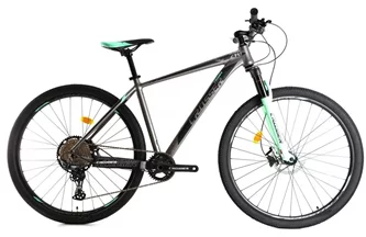 Bicicleta Crosser X880 Solo 29 19 21S Shimano + Hydr Logan (Gray/Green)